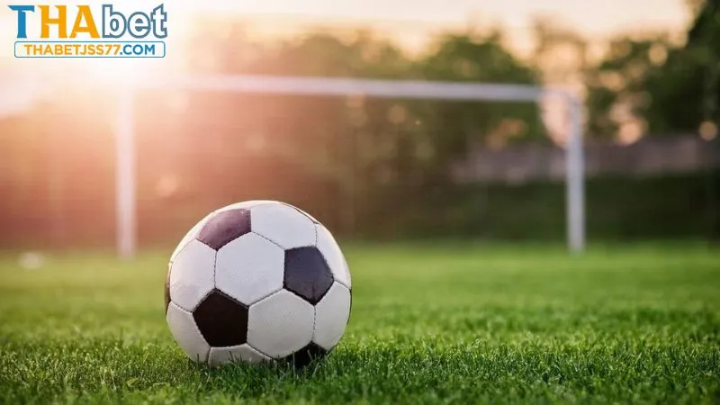 Người chơi cần hiểu kèo trên kèo dưới là gì